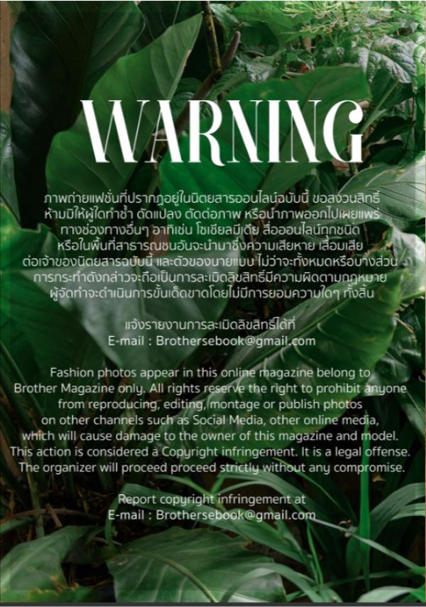 Brothers-Vol.15---Diamond